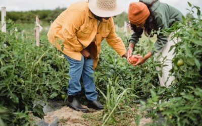 Study Horticulture And Potential Migration Pathways