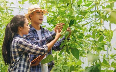 The New Agricultural Visa For South East Asian Countries