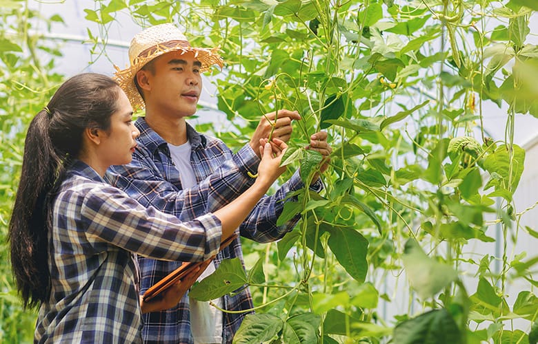 The New Agricultural Visa for South East Asian Countries