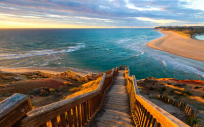 South Australia Migration