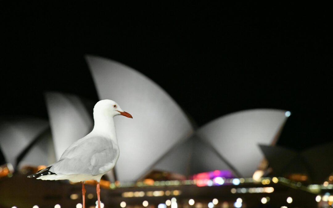 NSW Just Opened 491 Visa